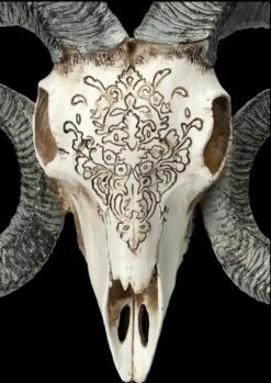 Widder Totenkopf - Verziert Mit Ständer -FIGUREN Verkäufe 2D FS23527 Widder Totenkopf mit Verzeirungen und St nder 8 1280x1280