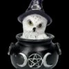 Eulenfigur Im Hexenkessel - Owl's Brew -FIGUREN Verkäufe 2D FS23549 Eulenfigur im Hexenkessel Owls Brew 1 1280x1280