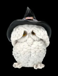 Drei Weise Hexen-Eulen Figuren - Nichts Böses -FIGUREN Verkäufe 2D FS23557 Drei weise Hexen Eulen Figuren Nichts B ses 7 1280x1280