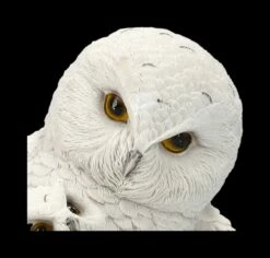 Schneeeulen Figur - Feathered Guide -FIGUREN Verkäufe 2D FS23592 SChneeeulen Figur Feathered Guide 10 1280x1280