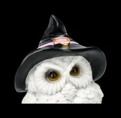 Schneeeulen Figur Mit Hexenhut - Snowy Spells -FIGUREN Verkäufe 2D FS23593 Schneeeulen Figur mit Hexenhut Snowy Spe s 8 1280x1280