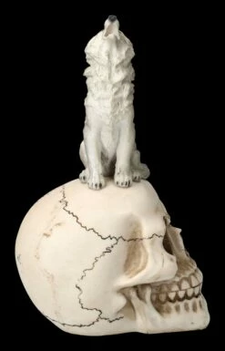 Totenkopf Mit Grauem Wolf -FIGUREN Verkäufe 2D FS23931 Totenkopf mit grauem Wolf 6 1280x1280