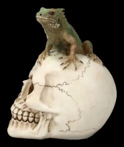 Totenkopf Mit Leguan -FIGUREN Verkäufe 2D FS23932 Totenkopf mit Leguan 2 1280x1280