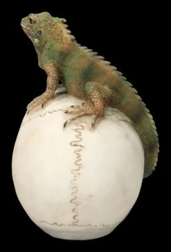 Totenkopf Mit Leguan -FIGUREN Verkäufe 2D FS23932 Totenkopf mit Leguan 3 1280x1280