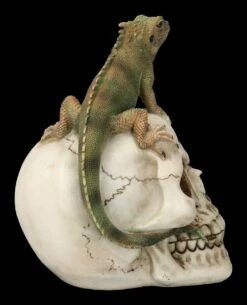 Totenkopf Mit Leguan -FIGUREN Verkäufe 2D FS23932 Totenkopf mit Leguan 4 1280x1280