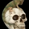 Totenkopf Mit Leguan -FIGUREN Verkäufe 2D FS23932 Totenkopf mit Leguan 5 1280x1280