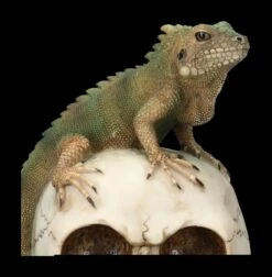 Totenkopf Mit Leguan -FIGUREN Verkäufe 2D FS23932 Totenkopf mit Leguan 8 1280x1280