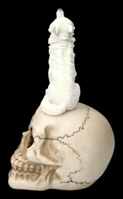 Totenkopf Mit Weißem Wolf -FIGUREN Verkäufe 2D FS23933 Totenkopf mit weissem Wolf 4 1280x1280