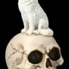 Totenkopf Mit Weißem Wolf
