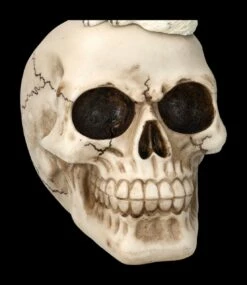 Totenkopf Mit Weißem Wolf -FIGUREN Verkäufe 2D FS23933 Totenkopf mit weissem Wolf 9 1280x1280