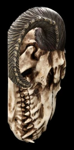 Wandrelief - Teuflischer Schädel Mit Pentagramm -FIGUREN Verkäufe 2D FS23952 Wandrelief Teuflischer Schadel mit Pentagramm 11 1280x1280