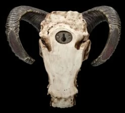 Wandrelief - Teuflischer Schädel Mit Pentagramm -FIGUREN Verkäufe 2D FS23952 Wandrelief Teuflischer Schadel mit Pentagramm 12 1280x1280