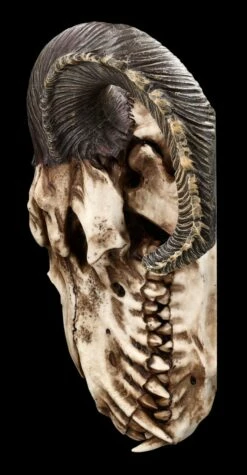 Wandrelief - Teuflischer Schädel Mit Pentagramm -FIGUREN Verkäufe 2D FS23952 Wandrelief Teuflischer Schadel mit Pentagramm 2 1280x1280