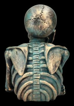 Skelett Büste - Der Denker -FIGUREN Verkäufe 2D FS23975 Skelett Buste Der Denker 3 1280x1280