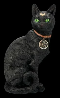 Mystische Katzen Figur Mit Magischen Symbolen