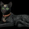 Mystische Katzen Figur Mit Mond Symbolen -FIGUREN Verkäufe 2D FS24008 Liegende Katzen Figur mit magischen Symbolen 4 1280x1280