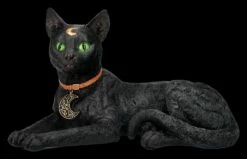 Mystische Katzen Figur Mit Mond Symbolen