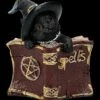 Katzen Figur Mit Zauberbuch - Kitty's Grimoire Rot -FIGUREN Verkäufe 2D FS24120 Katzen Figur mit Zauberbuch Kittys Grimoire rot 1 1280x1280