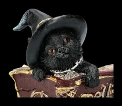 Katzen Figur Mit Zauberbuch - Kitty's Grimoire Rot 15 Katzen Figur Mit Zauberbuch - Kitty's Grimoire Rot -FIGUREN Verkäufe 2D FS24120 Katzen Figur mit Zauberbuch Kittys Grimoire rot 8 1280x1280