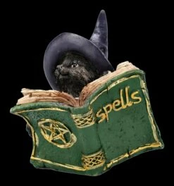 Katzen Figur Mit Zauberbuch - Kitty's Grimoire Grün 14 Katzen Figur Mit Zauberbuch - Kitty's Grimoire Grün -FIGUREN Verkäufe 2D FS24121 Katzen Figur mit Zauberbuch Kittys Grimoire grun 1 1280x1280