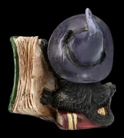 Katzen Figur Mit Zauberbuch - Kitty's Grimoire Grün 12 Katzen Figur Mit Zauberbuch - Kitty's Grimoire Grün -FIGUREN Verkäufe 2D FS24121 Katzen Figur mit Zauberbuch Kittys Grimoire grun 4 1280x1280