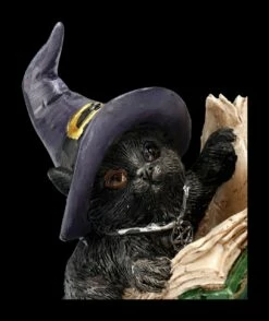 Katzen Figur Mit Zauberbuch - Kitty's Grimoire Grün 15 Katzen Figur Mit Zauberbuch - Kitty's Grimoire Grün -FIGUREN Verkäufe 2D FS24121 Katzen Figur mit Zauberbuch Kittys Grimoire grun 8 1280x1280