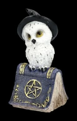 Schneeeulen Figur Mit Zauberbuch - Blau -FIGUREN Verkäufe 2D FS24128 Schneeeulen Figur mit Zauberbuch blau 6 1280x1280