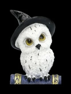 Schneeeulen Figur Mit Zauberbuch - Blau -FIGUREN Verkäufe 2D FS24128 Schneeeulen Figur mit Zauberbuch blau 7 1280x1280