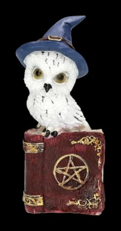 Schneeeulen Figur Mit Zauberbuch - Rot