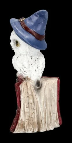 Schneeeulen Figur Mit Zauberbuch - Rot -FIGUREN Verkäufe 2D FS24129 Schneeeulen Figur mit Zauberbuch rot 2 1280x1280