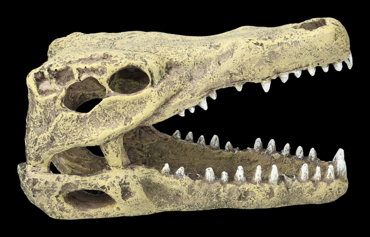 Aquarium Figur - Krokodilkopf M 7 Aquarium Figur - Krokodilkopf M – Bild 5