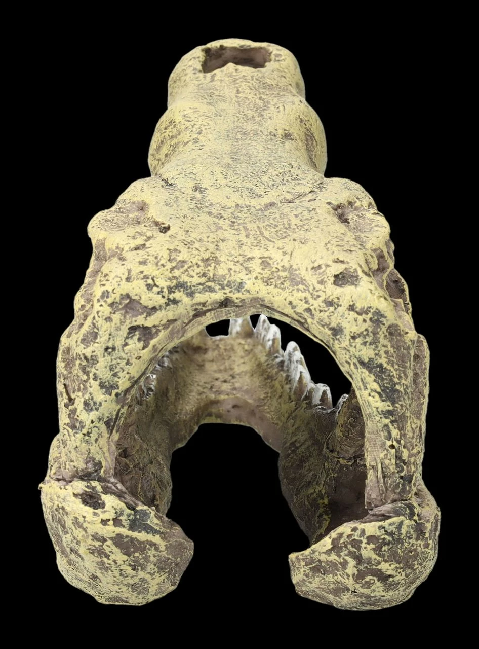 Aquarium Figur - Krokodilkopf M 8 Aquarium Figur - Krokodilkopf M – Bild 6