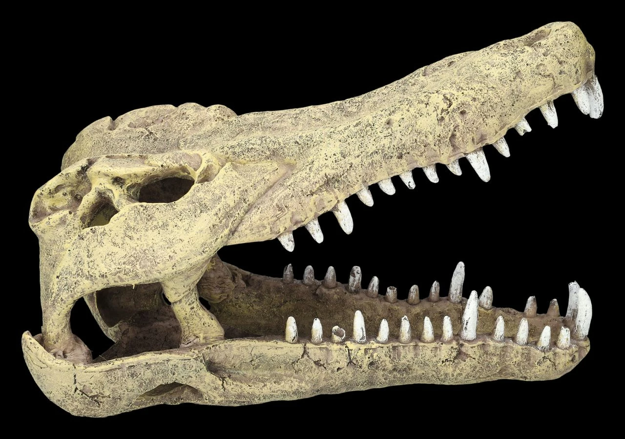 Aquarium Figur - Krokodilkopf L 7 Aquarium Figur - Krokodilkopf L – Bild 5