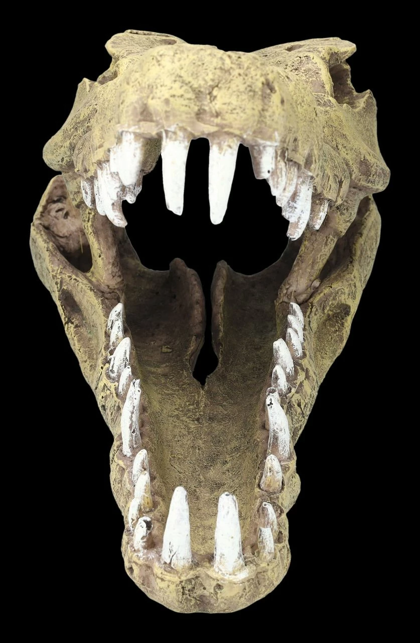 Aquarium Figur - Krokodilkopf L 6 Aquarium Figur - Krokodilkopf L – Bild 4