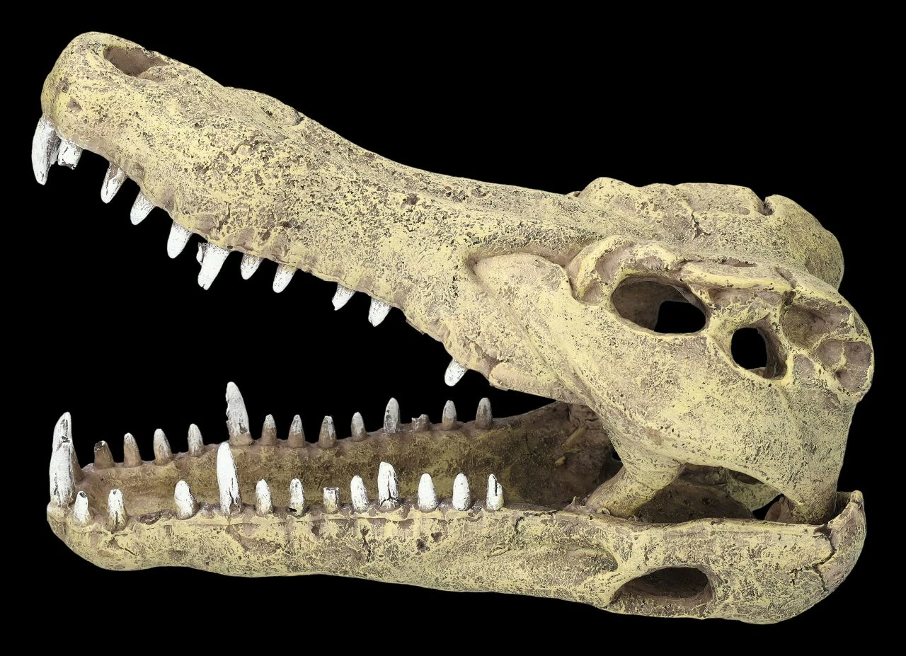 Aquarium Figur - Krokodilkopf L 4 Aquarium Figur - Krokodilkopf L – Bild 2