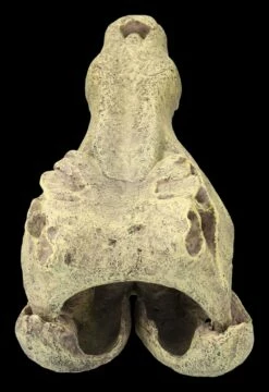 Aquarium Figur - Krokodilkopf L 13 Aquarium Figur - Krokodilkopf L -FIGUREN Verkäufe 2D FS24145 Aquarium Figur Krokodilkopf L 4RxU3BBHyPndEK 1280x1280