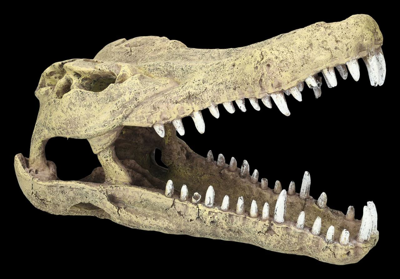 Aquarium Figur - Krokodilkopf L 3 Aquarium Figur - Krokodilkopf L