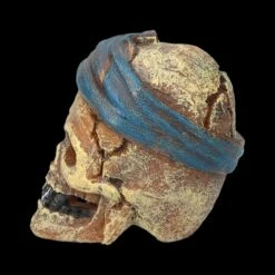 Aquarium Figur - Totenkopf Pirat Mit Tuch -FIGUREN Verkäufe 2D FS24149 Aquarium FigurPriat mit Tuch 2 1280x1280