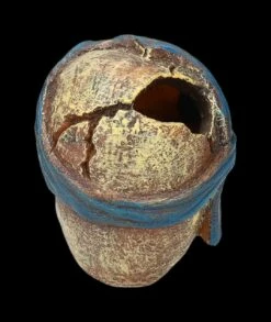 Aquarium Figur - Totenkopf Pirat Mit Tuch -FIGUREN Verkäufe 2D FS24149 Aquarium FigurPriat mit Tuch 3 1280x1280