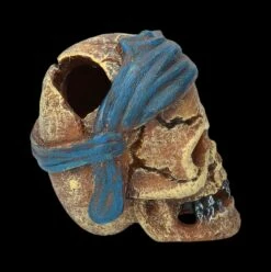 Aquarium Figur - Totenkopf Pirat Mit Tuch -FIGUREN Verkäufe 2D FS24149 Aquarium FigurPriat mit Tuch 4 1280x1280