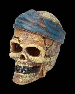 Aquarium Figur - Totenkopf Pirat Mit Tuch -FIGUREN Verkäufe 2D FS24149 Aquarium FigurPriat mit Tuch 6 1280x1280