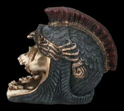 Aquarium Figur - Totenkopf Römer L -FIGUREN Verkäufe 2D FS24165 Aquarium Figur Totenkopf Romer L 2 1280x1280