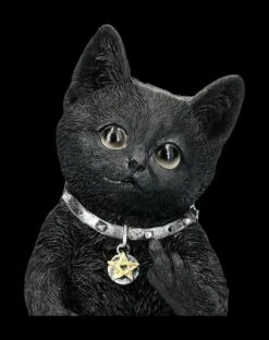 Katzenfigur Zeigt Mittelfinger - Cattitude -FIGUREN Verkäufe 2D FS24201 Katzenfigur zeigt Mittelfinger Cattitude 11 1280x1280