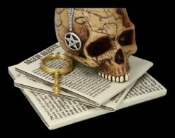 Schneekugel Totenkopf Mit Katze - Spirits Of Salem 19 Schneekugel Totenkopf Mit Katze - Spirits Of Salem -FIGUREN Verkäufe 2D FS24217 Schneekugel Totenkopf mit Katze Spirits of Salem 10 1280x1280