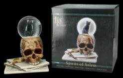 Schneekugel Totenkopf Mit Katze - Spirits Of Salem 12 Schneekugel Totenkopf Mit Katze - Spirits Of Salem -FIGUREN Verkäufe 2D FS24217 Schneekugel Totenkopf mit Katze Spirits of Salem 14 1280x1280