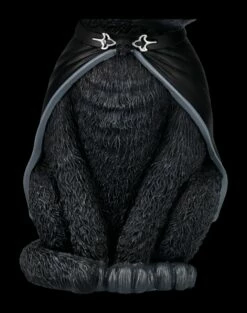 NEMESIS NOW Okkulte Katzenfigur Mit Hexenhut - Purrah Groß 19 NEMESIS NOW Okkulte Katzenfigur Mit Hexenhut - Purrah Groß -FIGUREN Verkäufe 2D FS24224 Okkulte Katzenfigur mit Hexenhut Purrah gross 9 1280x1280