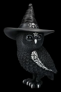 NEMESIS NOW Eulen Figur - Hexe Owlocen Groß -FIGUREN Verkäufe 2D FS24225 Eulen Figur Hexe Owlocen gross 5 1280x1280