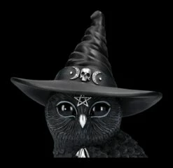 NEMESIS NOW Eulen Figur - Hexe Owlocen Groß -FIGUREN Verkäufe 2D FS24225 Eulen Figur Hexe Owlocen gross 7 1280x1280