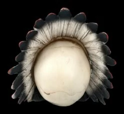 Totenkopf - Indianer Häuptling -FIGUREN Verkäufe 2D FS24377 Totenkopf Indianer Hauptling 4 1280x1280