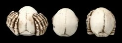 Lustige Totenköpfe - Nichts Böses -FIGUREN Verkäufe 2D FS24469 Lustige Totenkopfe Nichts Boses 3 1280x1280